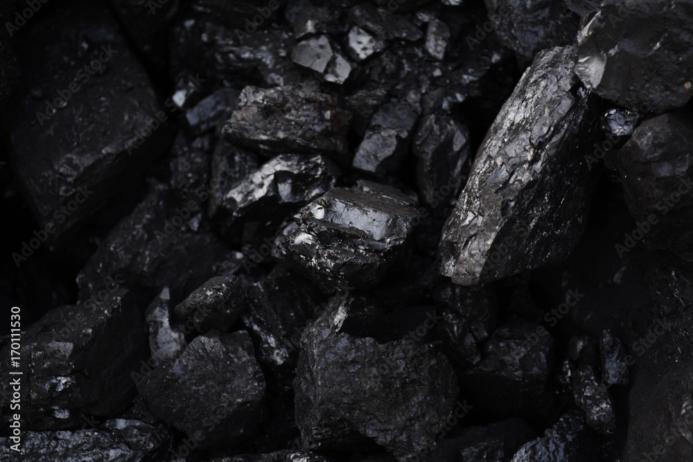 deposits of coal deposits of coal