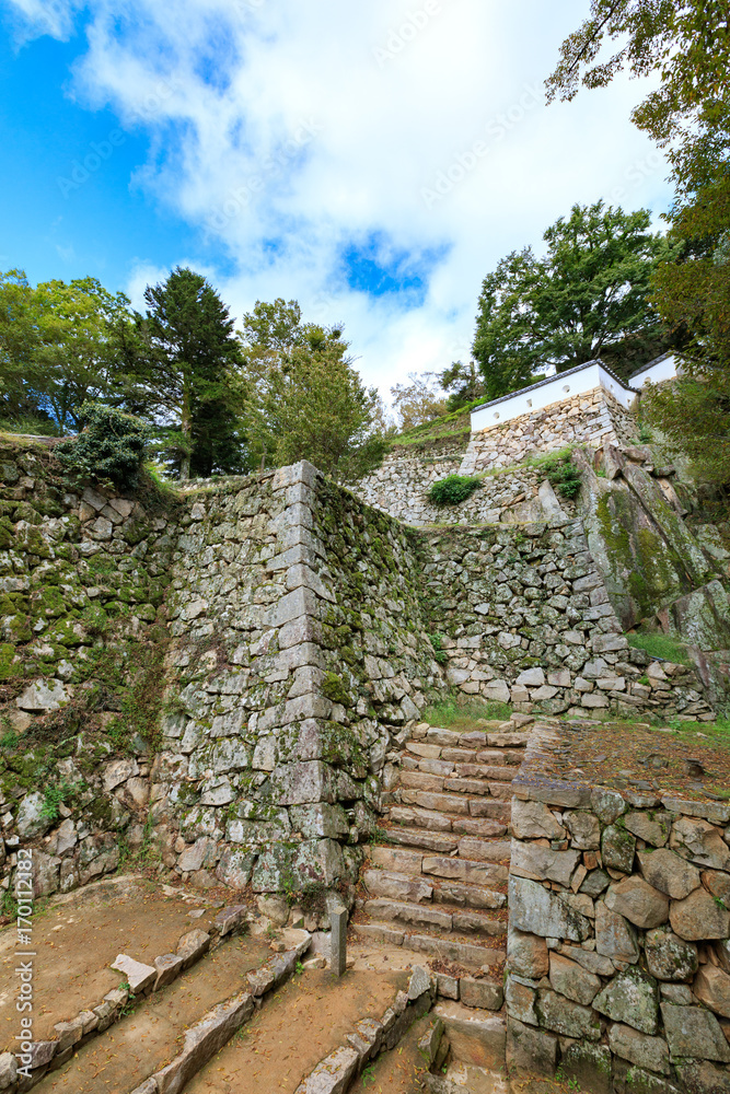 備中松山城 石垣 -天守が残る日本で唯一の山城-