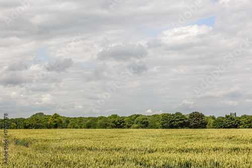 Landscape with cloudy sky over a beautiful English countryside