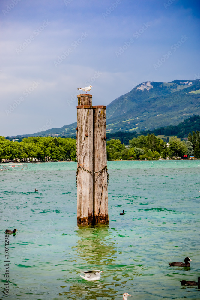 Promenade à Annecy et au bord du lac d'Annecy Promenade à Annecy et au bord du lac d'Annecy