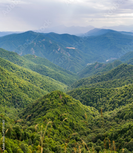 Mountain forest landscape at the foot of the Caucasus Mountains, Adygea, Russia