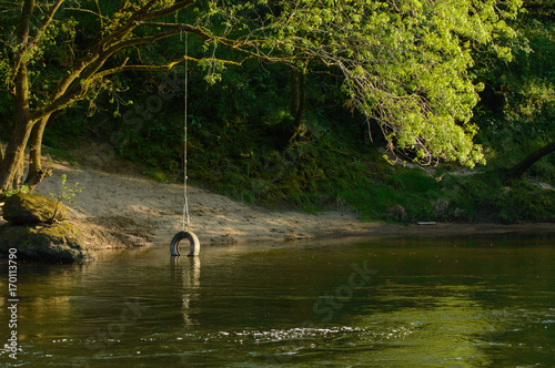 Abandoned wheel swing photo