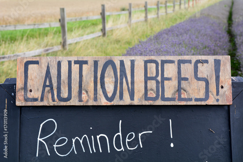 Caution Bees! sign on lavender farm