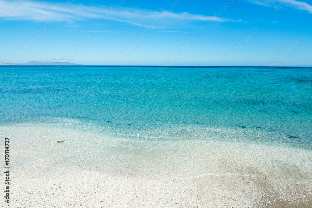 Turquoise water in Stintino shore Turquoise water in Stintino shore