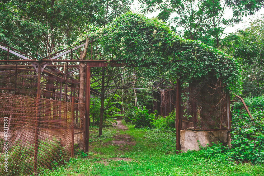 Abandoned scary and mysterious place. Old soviet style greenhouse in Kiev, Ukraine. Overgrown and ruined hothouse with broken glass roof. Abandoned scary and mysterious place. Old soviet style greenhouse in Kiev, Ukraine. Overgrown and ruined hothouse with broken glass roof.