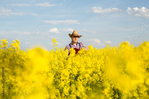 A farmer inspects rapeseed