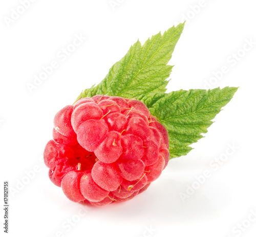 One raspberry with leaf isolated on white background macro