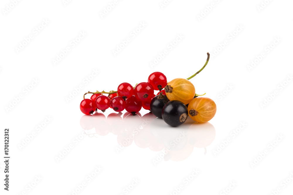 Mix of berries isolated