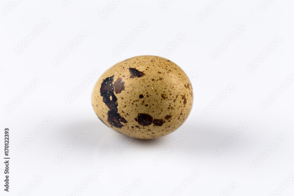 One quail egg One quail egg