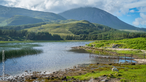 Scenic summer afternoon sight along Loch Cill Chriosd, Isle of Skye, Scotland.