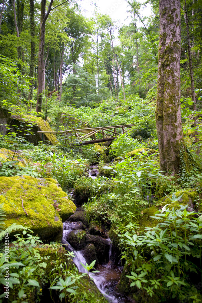 Gaishöll-Wasserfälle - Sasbachwalden - Schwarzwald Gaishöll-Wasserfälle - Sasbachwalden - Schwarzwald