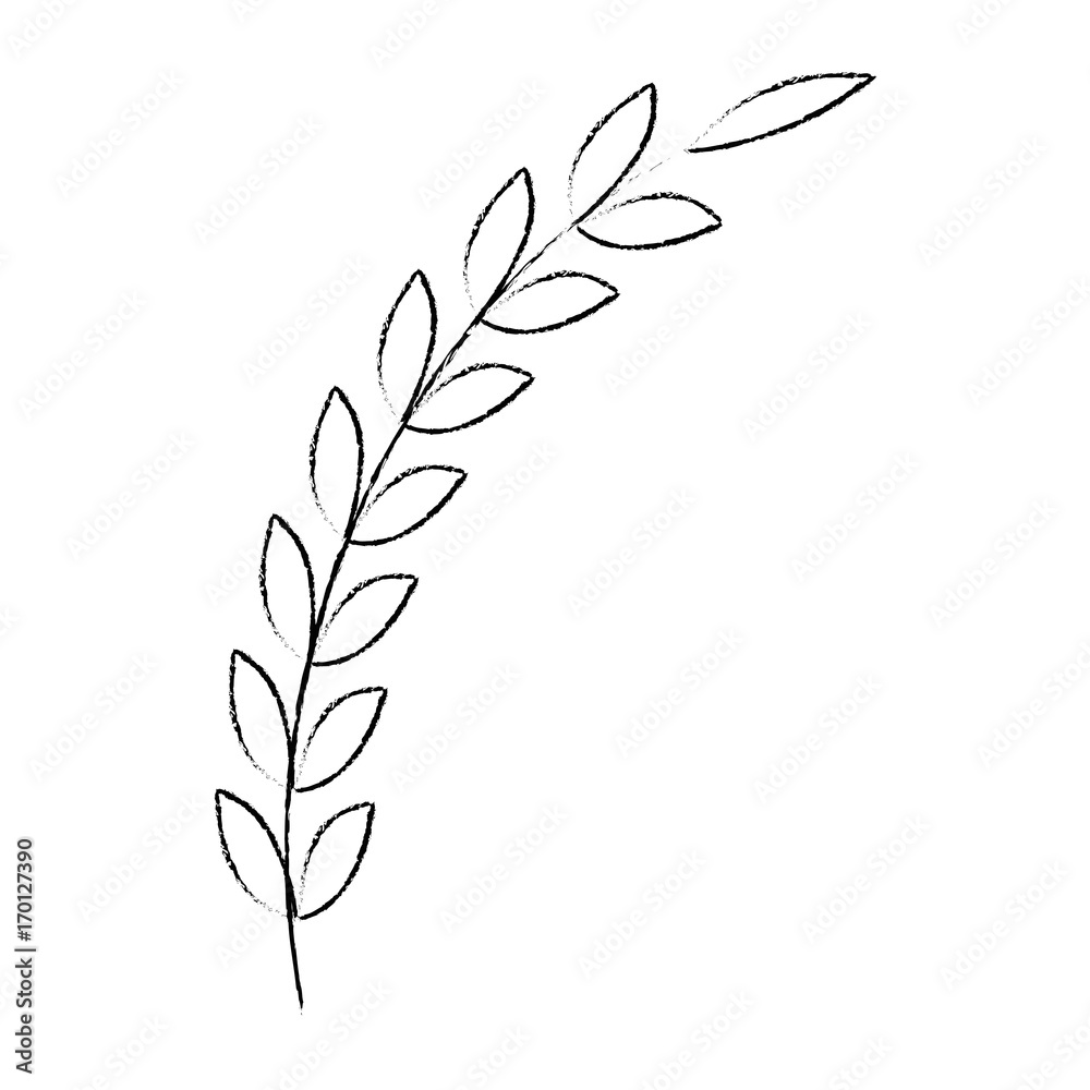 Bouquet of leaves icon vector illustration graphic design Bouquet of leaves icon vector illustration graphic design