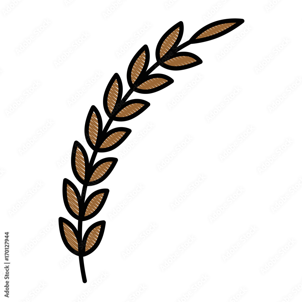 Bouquet of leaves icon vector illustration graphic design Bouquet of leaves icon vector illustration graphic design
