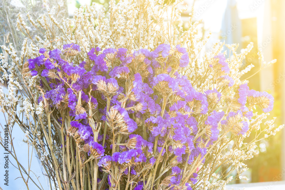 Naklejka premium Caspea Flower