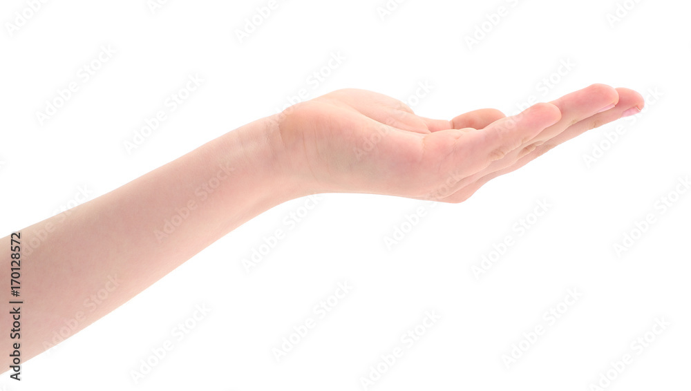 Child's hand isolated. Child's hand isolated.