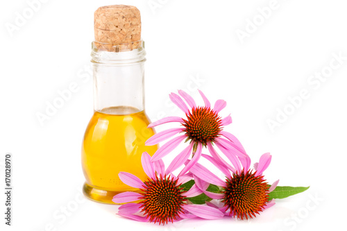 Essential oil of Echinacea purpurea isolated on white background