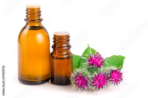 burdock oil in glass bottle and burdock flowers isolated on white background