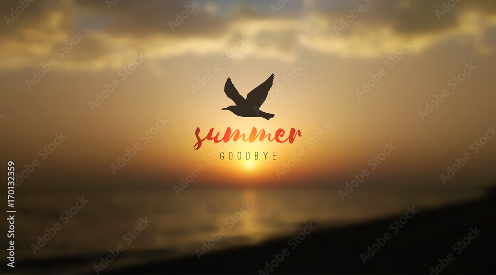 Fototapeta premium sunrise seascape and seagull