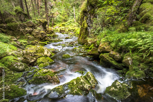 Fototapeta Naklejka Na Ścianę i Meble -  Water flow in a stream, long exposure