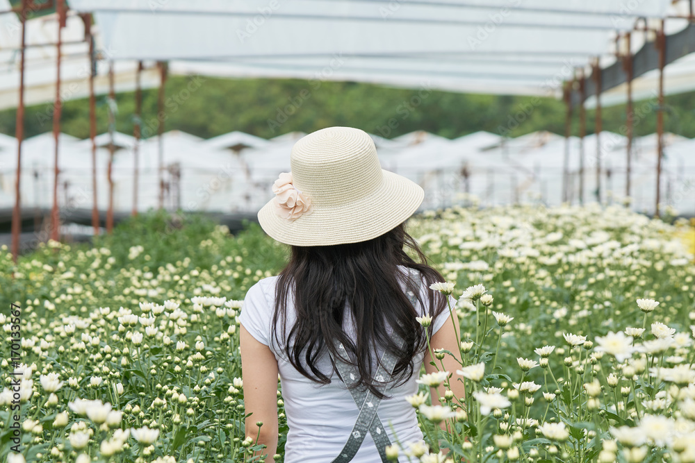 Asian girls aged 25-30 years, long black hair. Wearing a white hat standing in the middle of a field of white chrysanthemum.