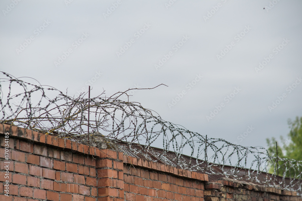 Barbwire on grey clouds background - prison concept Barbwire on grey clouds background - prison concept