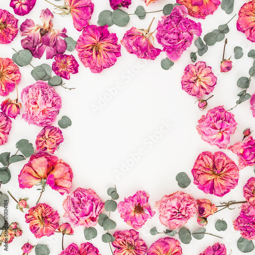 Floral round frame with pink roses and eucalyptus on white background, Flat lay, Top view