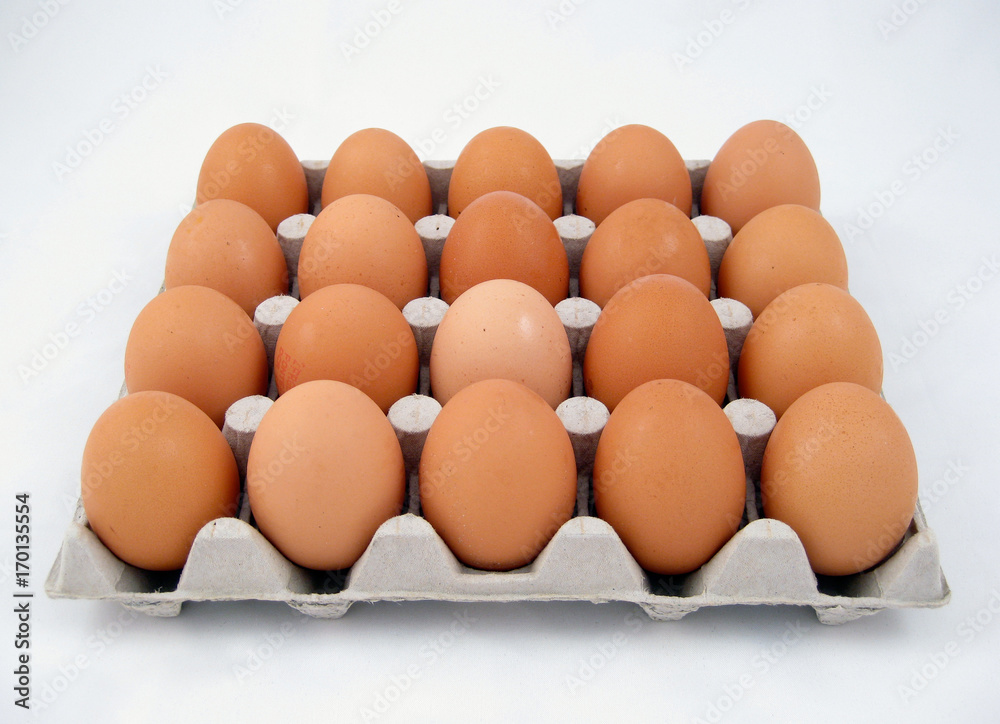 eggs box eggs box