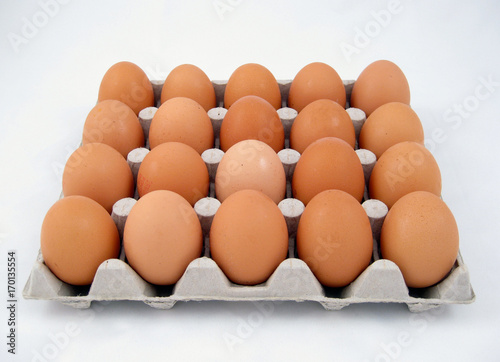 eggs box