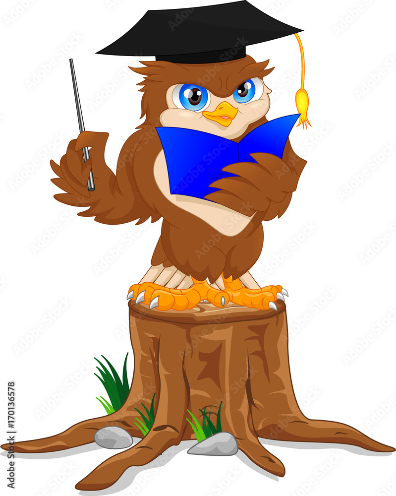 Obraz premium owl wearing graduation cap