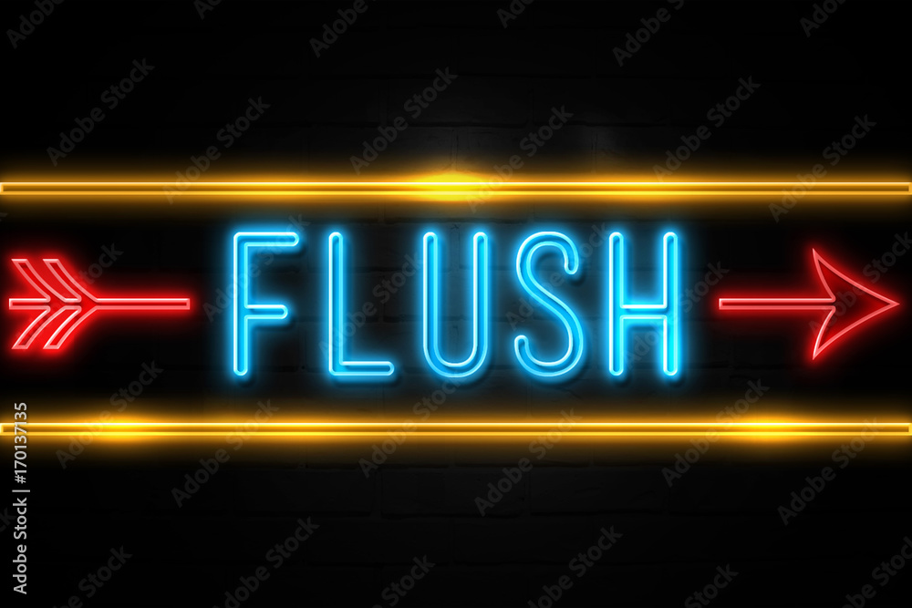 Flush  - fluorescent Neon Sign on brickwall Front view