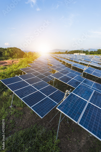 Solar panels (solar cell) in solar farm with sun lighting to create the clean electric power