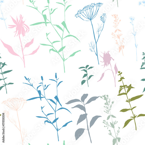 Fototapeta Naklejka Na Ścianę i Meble -  Vector floral seamless pattern with wild meadow flowers, herbs and grasses. Thin delicate line silhouettes of different plants like sunflowers and basil.