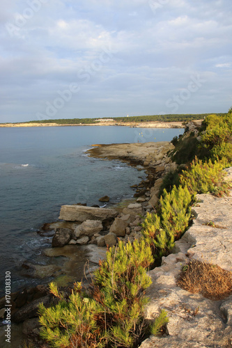 Martigues photo