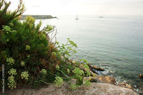 Martigues photo