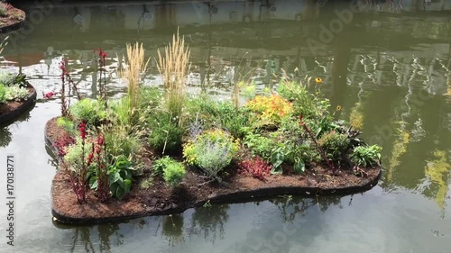 Floating gardens at Penns Landing, Philadelphia. photo