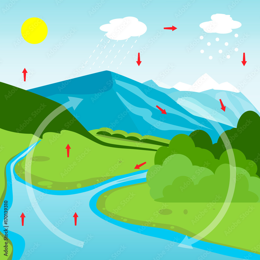 Water Cycle Diagram Stock Vector | Adobe Stock