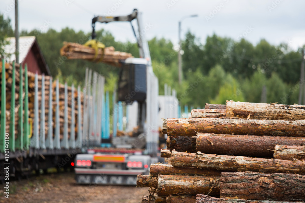 Fotografie Loading of timber on railway carriages. Loader in work