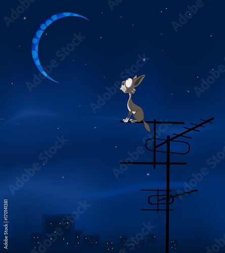 The Feral  Cat and the Moon  Cartoon Illustration