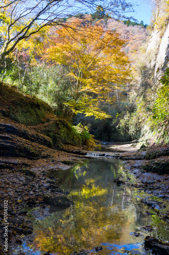 紅葉の秋 梅ヶ瀬渓谷