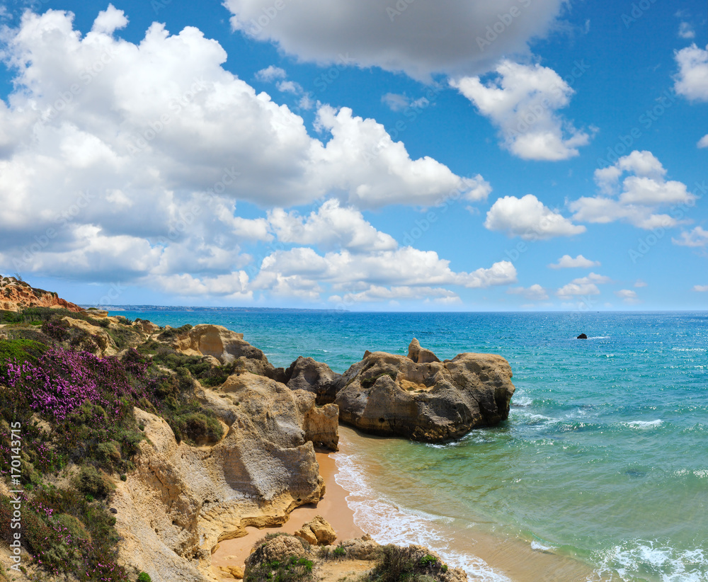 Atlantic blossoming coast (Algarve, Portugal). Atlantic blossoming coast (Algarve, Portugal).