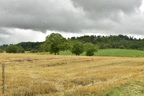 Champs de blé après moisson sous la pluie ,devant le colline du Puy de Versac ,au Périgord Vert