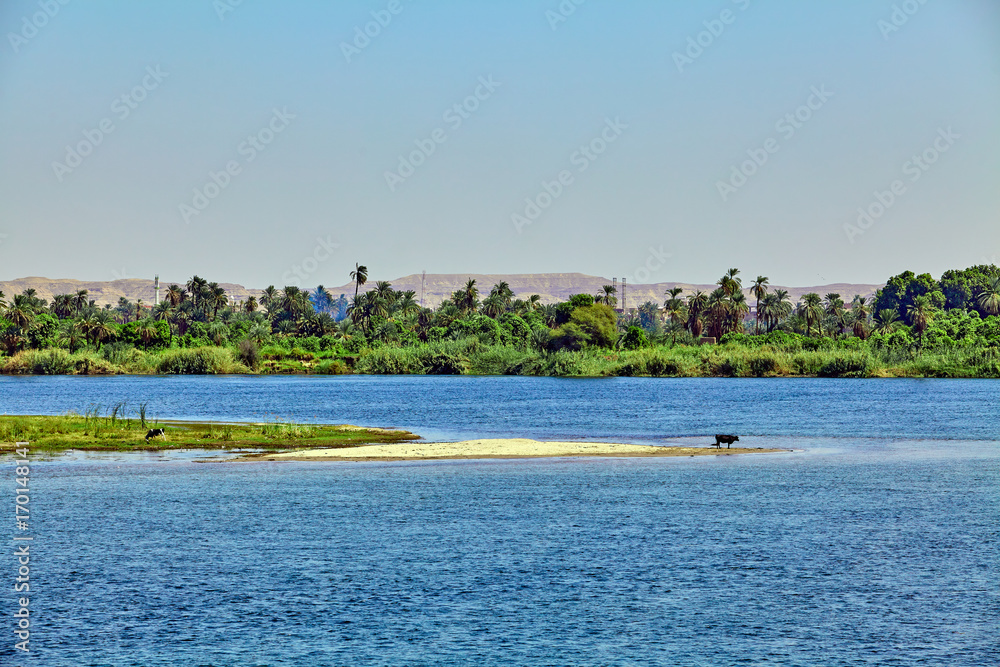 River Nile in Egypt. beautiful  landscape