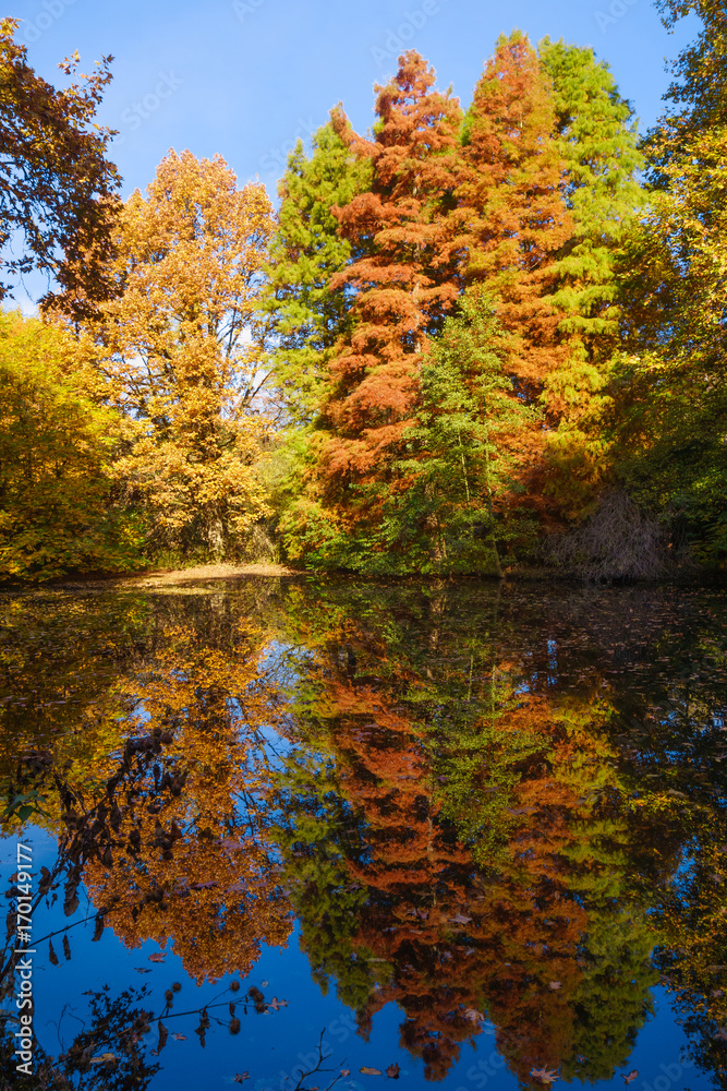 Autumn Landscape. Park in Autumn