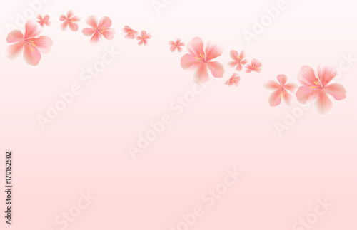 Flying Pink Sakura flowers isolated on Pink gradient background. Apple-tree flowers. Cherry blossom. Vector