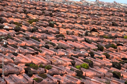 alte rote Dachziegel mit Moose und Flechten, verschmutztes Häuserdach