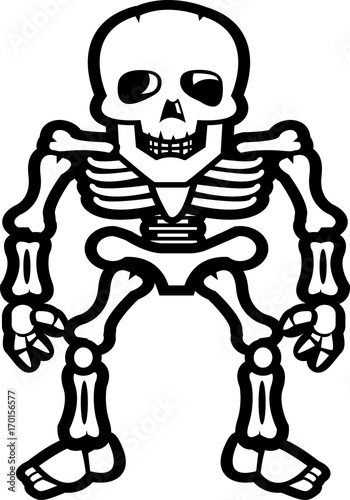 Skeleton Standing