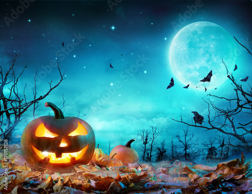 Pumpkin Glowing At Moonlight In The Spooky Forest - Halloween Scene
