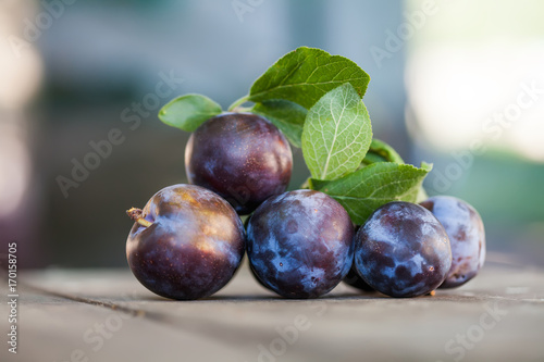 Natural organic blue plums on wooden table. Farmers fruits still life photography, selective focus beautiful bokeh