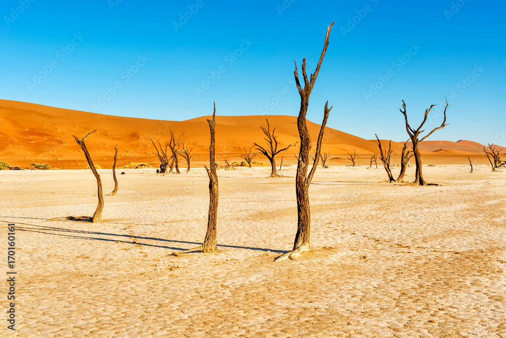 Dead Vlei near Sesriem in Namibia
