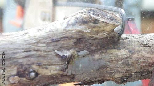 Wallpaper Mural Uomo taglia legna con motosega Torontodigital.ca